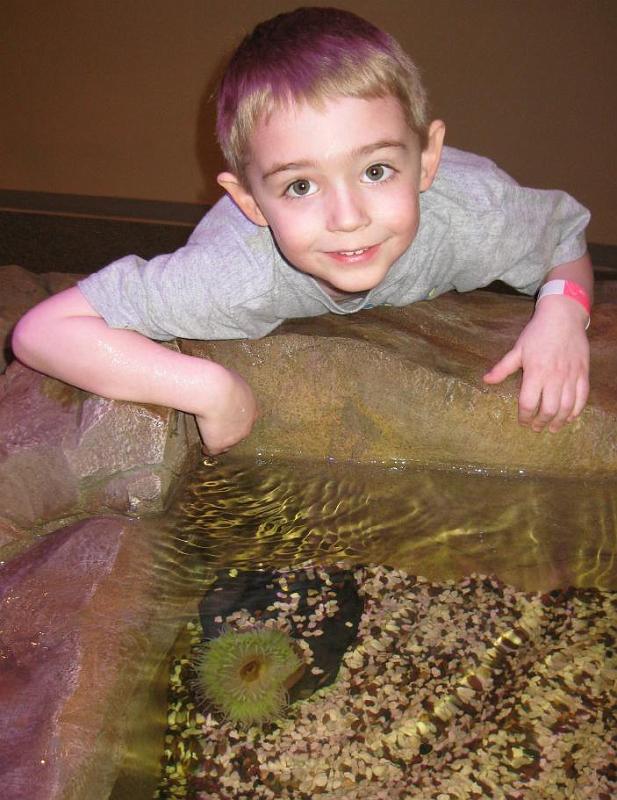 touch pool 4.jpg
